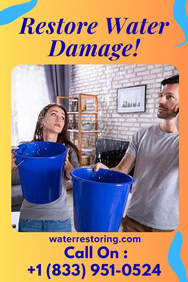 water restoration Southern Damage Recovery Inc Mount Jackson