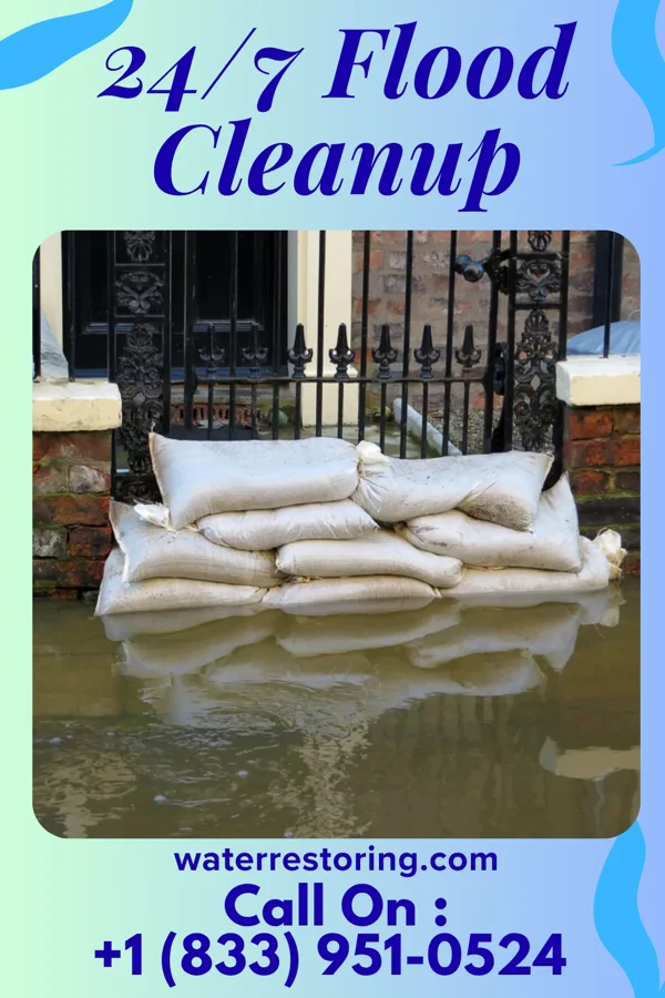 24/7 Flood Cleanup in Mount Jackson, VA